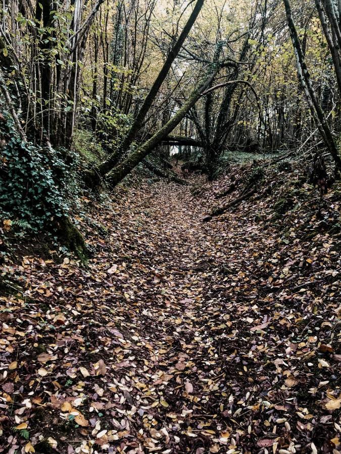 La Ferme Du Pont De Maumy, Cabane Au Bord De L'Etang Et Bain Nordique Busserolles 外观 照片