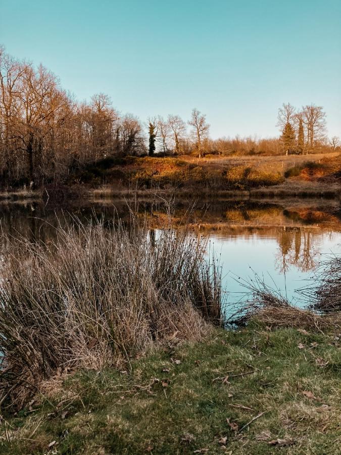 La Ferme Du Pont De Maumy, Cabane Au Bord De L'Etang Et Bain Nordique Busserolles 外观 照片