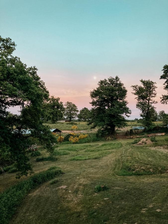 La Ferme Du Pont De Maumy, Cabane Au Bord De L'Etang Et Bain Nordique Busserolles 外观 照片