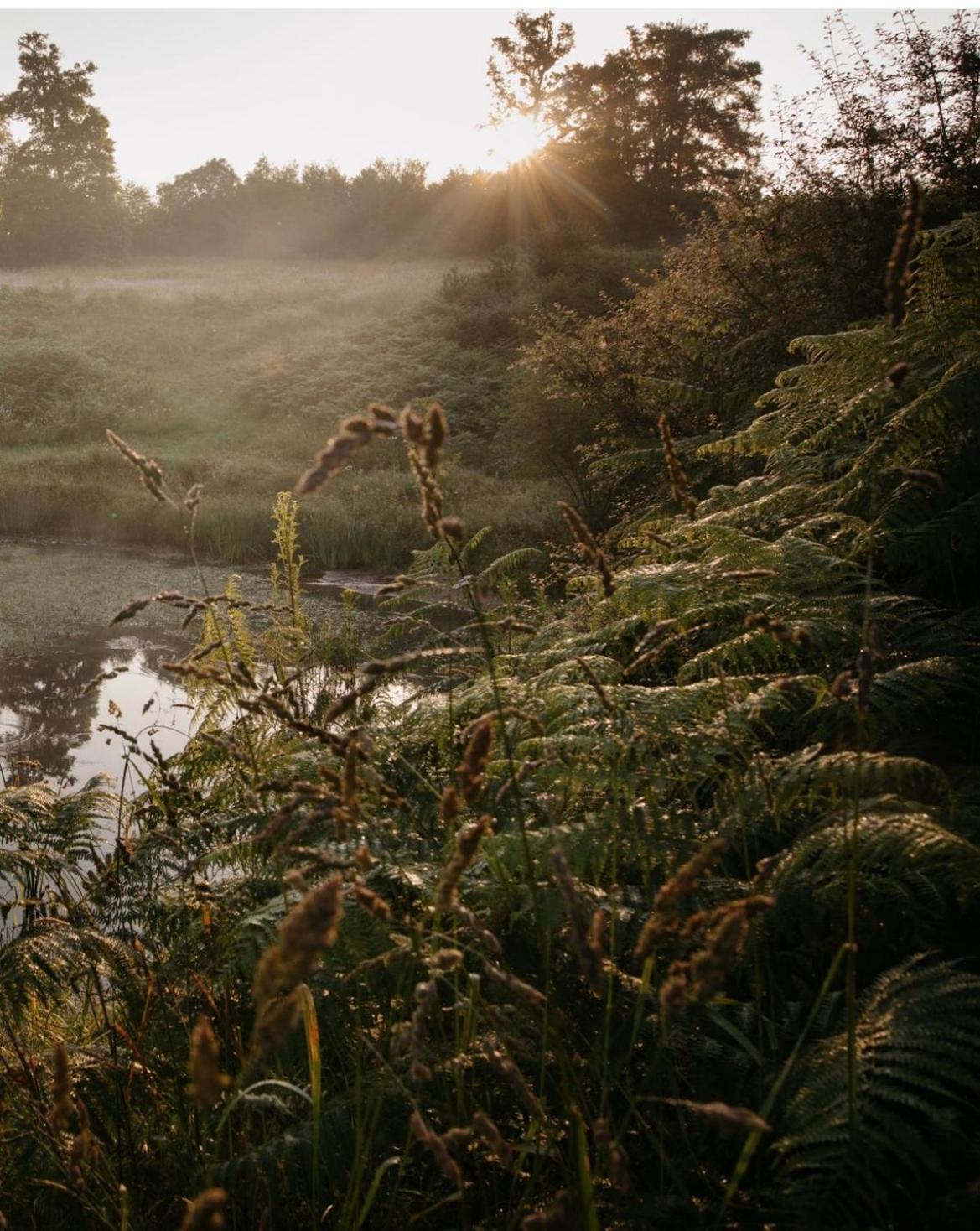 La Ferme Du Pont De Maumy, Cabane Au Bord De L'Etang Et Bain Nordique Busserolles 外观 照片