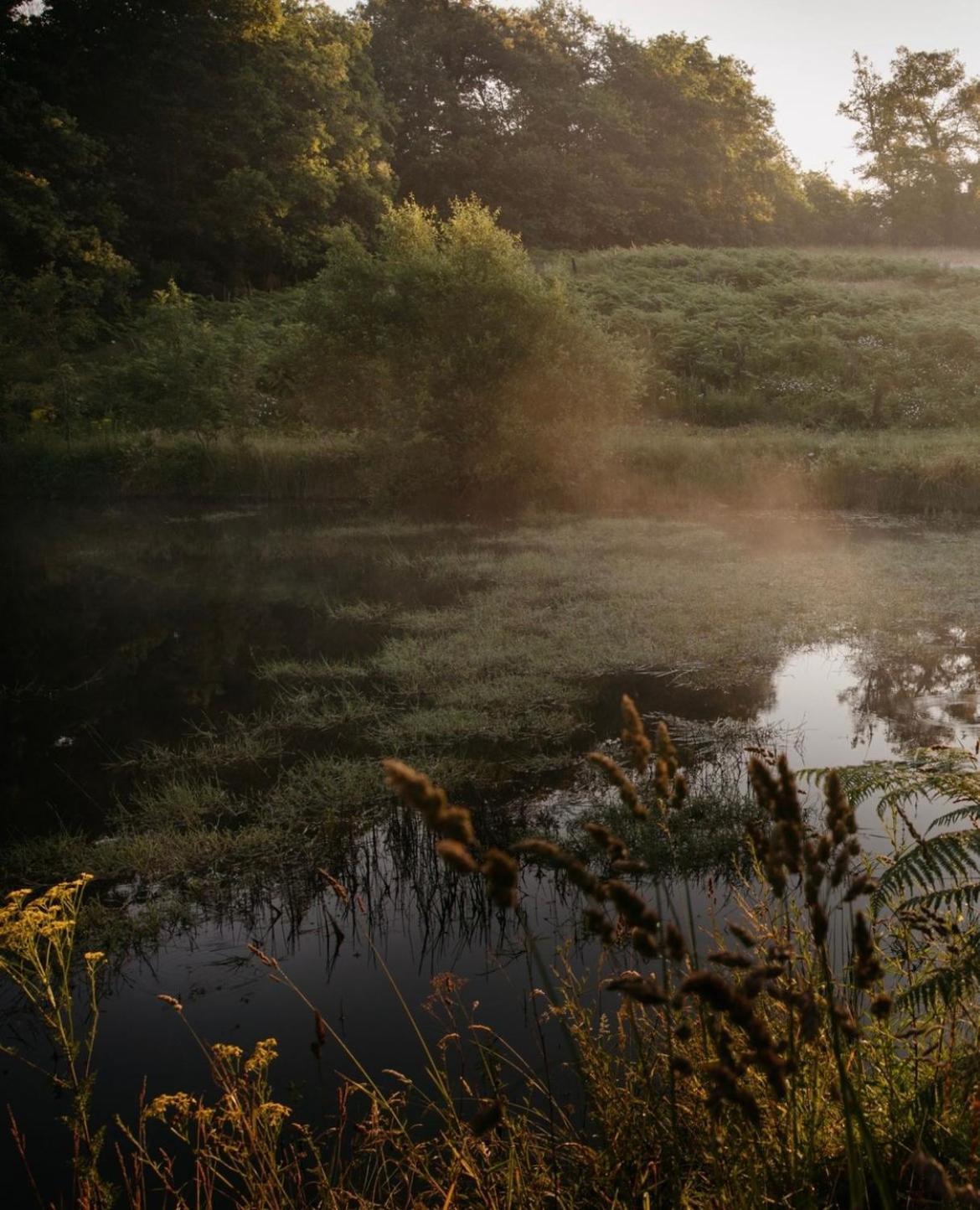 La Ferme Du Pont De Maumy, Cabane Au Bord De L'Etang Et Bain Nordique Busserolles 外观 照片